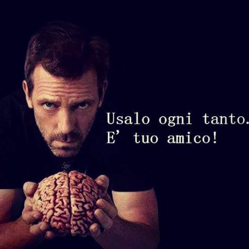 Odia gli stupidi, aiuta i deboli, dagli invasori (sinostrolesi, facciamorete e nazifemministe, prescritti cartonati) vi difenderà...
Fino alla Fine! #anala