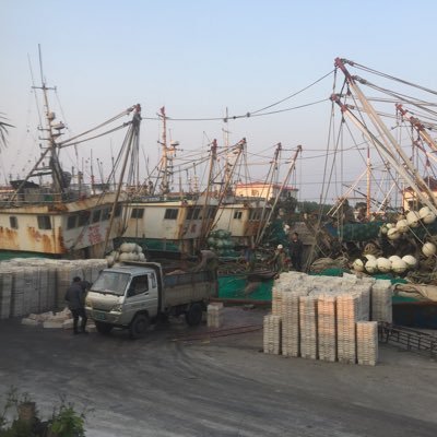 969bxDFrbmIMu6m's profile picture. 中国开发区的招商引资外包 Chinese industrial park