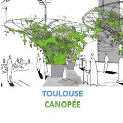 Le projet de Canopée Végétale pour le quartier St Cyprien à Toulouse -
Un projet @urbancanopee pour lutter contre le changement climatique