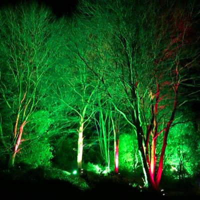 Andrewwillis7's profile picture. Director of wilcom systems ltd, experts in the installation of telecommunication systems,computer networks ,alarm systems & electrical installations.