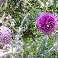 Law Lore (@belaweducator) 's Twitter Profile Photo