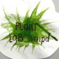 Plant Lab Unipd (@punipd) 's Twitter Profile Photo