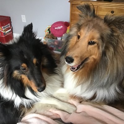 Nat_Fort_99's profile picture. I am a teacher who believes that today’s students should learn by using tools such as micro:bits, Circuit Playground Express, ... that spark their interests.