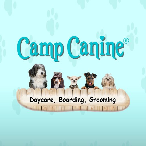 A Country Club & Spa for dogs and cats offering boarding with cageless daycare all day. Locations in Boca Raton, Ft. Lauderdale, and Hollywood.