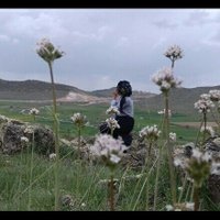 Zübeyde Özbek (@zbeydezbek1) Twitter profile photo