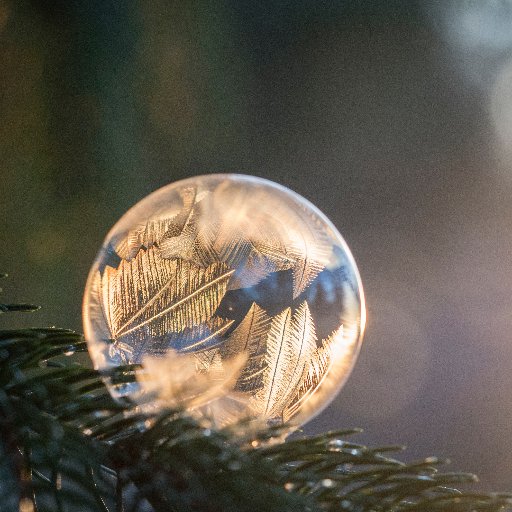 melly_darcy's profile picture. Queen du sadisme littéraire wattpadien
Reader Addict ✨  Serdaigle et Pourfendeuse de dragons 🐉  
shingfoo ❤️
J'ai plein de #bookboyfriend ne vous en déplaise !