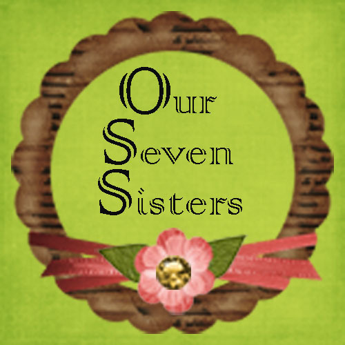 OurSevenSisters's profile picture. Seven sisters who share on a daily blog where they cover Organization, Parenting, Cooking, Gardening, Frugal Living, Decorating/Crafting & Inspirational.