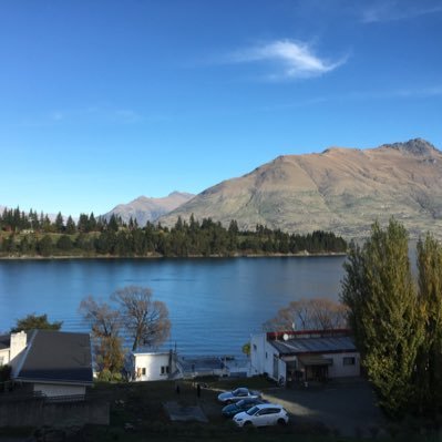 Mollydelighted's profile picture. Lover of all things good and bad Kiwi through and through, love my country