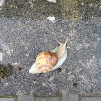 Annelies Degryse (@degryseannelies) 's Twitter Profile