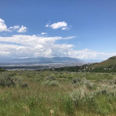 NGolinowski's profile picture. 