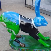 GoGo Harry the Hare (@harry_holtrfc) 's Twitter Profile Photo GoGo Harry the Hare (@harry_holtrfc) 's Twitter Profile Photo