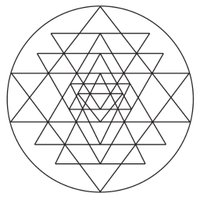 Alimental Herbalism (@alimentalherbs) 's Twitter Profile