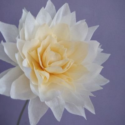 The paper florist.

Specialist in paper flowers for weddings, anniversaries, special occasions or just for you