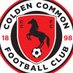 Colden Common FC Reserves (@ccfcdev) Twitter profile photo Colden Common FC Reserves (@ccfcdev) Twitter profile photo