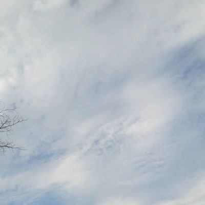 _200900's profile picture. sg ;osw