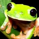 Caitlin Hannah - @tinkhannah07 - Twitter