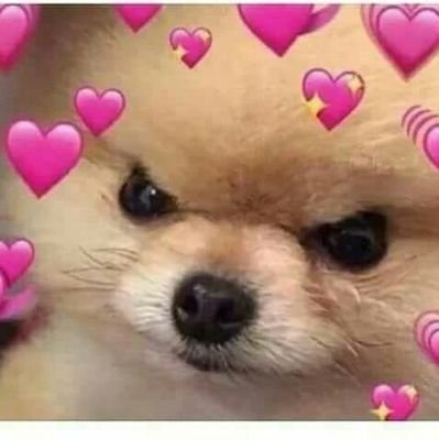 OtroFumador's profile picture. No se tomen toda la joda en serio. ZAMORA F.C