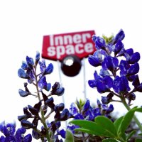 Inner Space Cavern (@innerspacecave) 's Twitter Profile