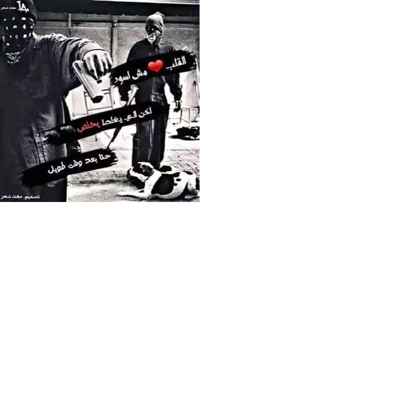 ahmedalimohmmme's profile picture. 