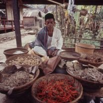 Lambat Laun Kebenaran Itu Akan Terungkap // Pintak buliah kondak balaku.
Saghi lahia saghi banamo.
Sakutiko kilek potuih tibo.