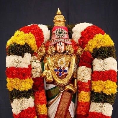 selva2win's profile picture. 