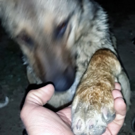 enky2507's profile picture. yazılan ve paylaşınlar ytd değildir.

FENERBAHÇE TARAFTARI....