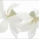 ellen kay gordon - @mooninbloom - Twitter