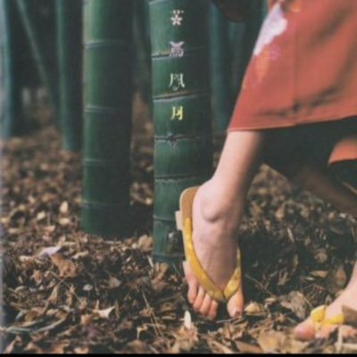 AnimalTail1215's profile picture. 