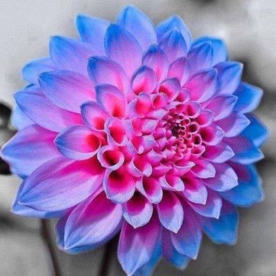 sghuco's profile picture. 