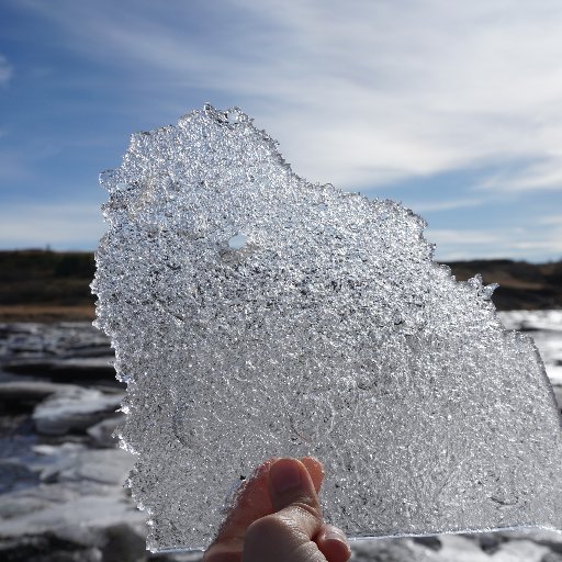 _wARko_'s profile picture. chimpuM