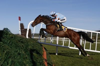Travel company ! Party ? Stag ? Work group? We take anyone to race meetings in Ireland and uk