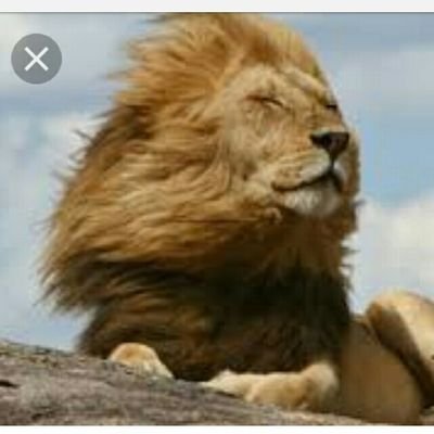 True Indian with Secular Ideological veiw Sarv Dharm Sambhaav. All are One and equal. No Superior No Inferior. Can Fight For Right. Truth alone Triumph. Indian.