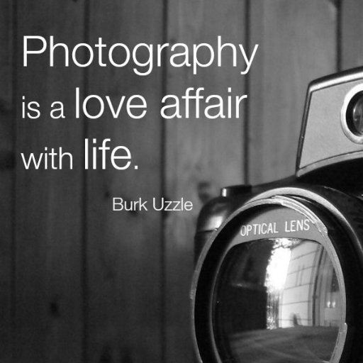 Photographer. Dreamer. Coffee lover. Crypto gave me the freedom to create, travel & dream big.