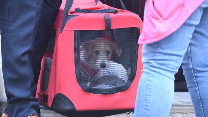 GXDoWwnq?format=jpg&name=900x900