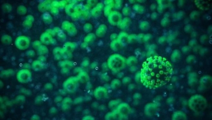 Mídia de cabeçalho