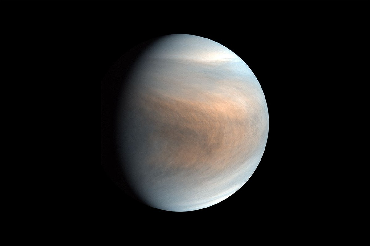 x1FUnsia?format=jpg&name=medium