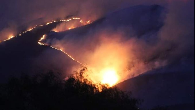 Elemento multimedia de encabezado