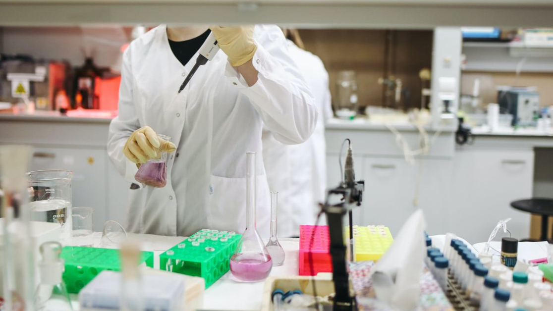 SibjXfYP?format=jpg&name=medium