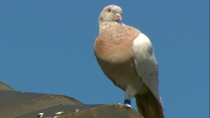 w9cufd02?format=jpg&name=900x900