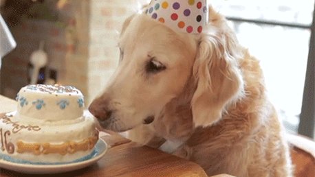  Happy Birthday Jonathan and Drew Scott   