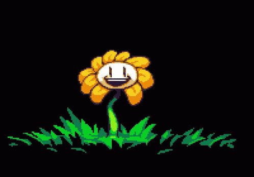 FLOWEY D:< - Drawception