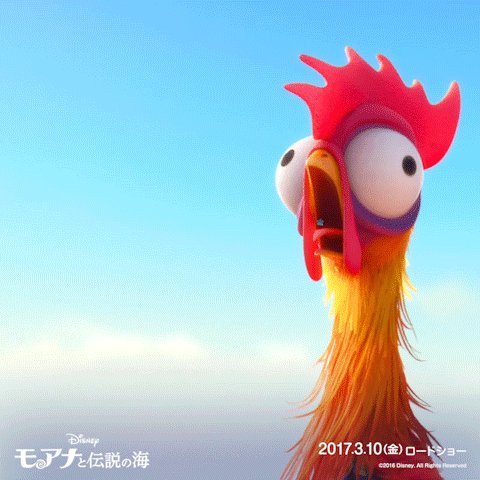 レア　モアナと伝説の海 ヘイヘイ 鳥 ヘイヘイ｜モアナと伝説の海｜ディズニー公式