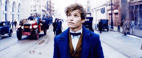 HAPPY BIRTHDAY TO EDDIE REDMAYNE I LOVE YOU you are the best newt scamander 