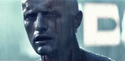 Happy Birthday Rutger Hauer! Unlike tears in the rain, this iconic performance will not be lost in time 