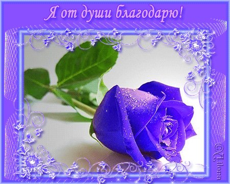   on Twitter: "@ValentinaSh7              ! #!  https://t.co/gS6jDzZqE6" / Twitter