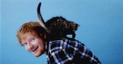 Happy 26th birthday to Mr. Ed Sheeran   