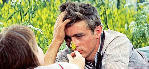 Happy bday james dean  