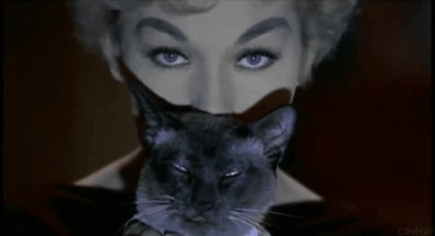    Happy birthday to the amazing Kim Novak! ¡Feliz cumpleaños  