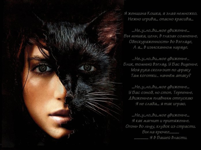 Открытки женщина кошка, день