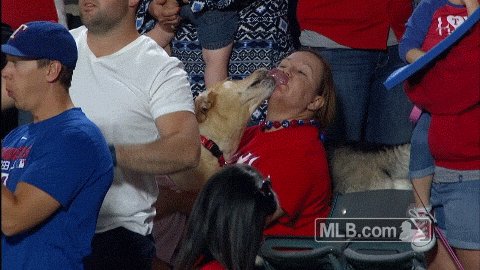 Get yourself a pet that loves ⚾️ as much as you do. #NationalLoveYourPetDay https://t.co/QirMDZqdbl